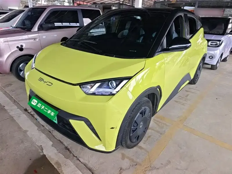BYD Seagull
