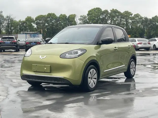 Wuling Bingo