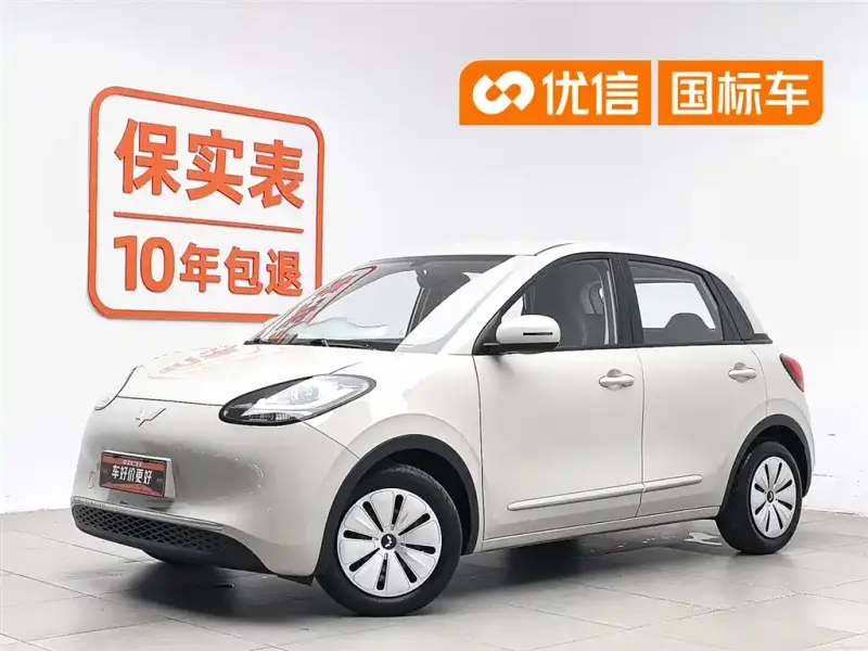 Wuling Bingo