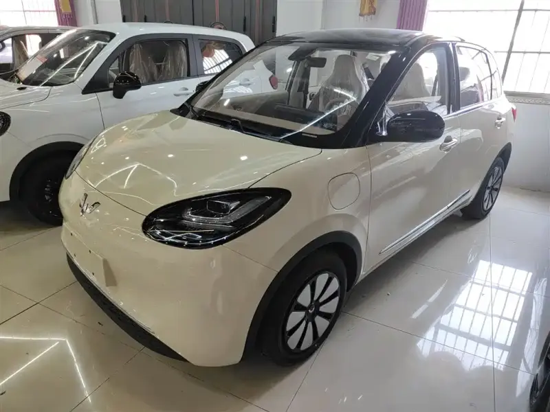 Wuling Bingo