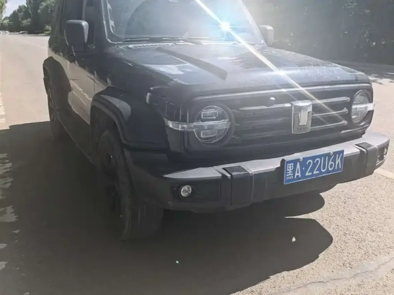 Tank 300