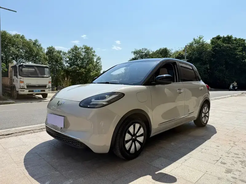 Wuling Bingo