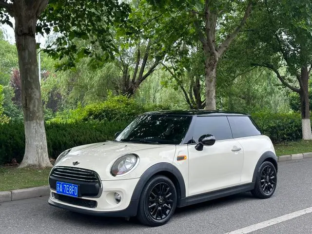 MINI