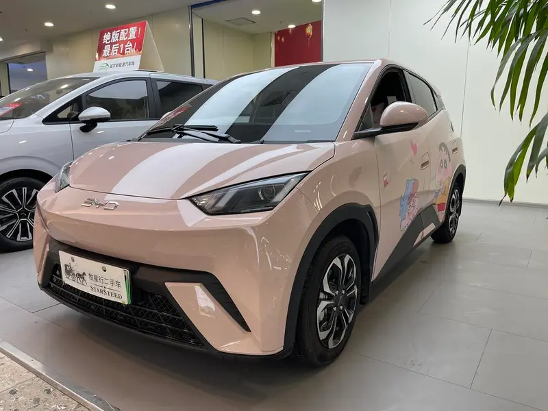 BYD Seagull
