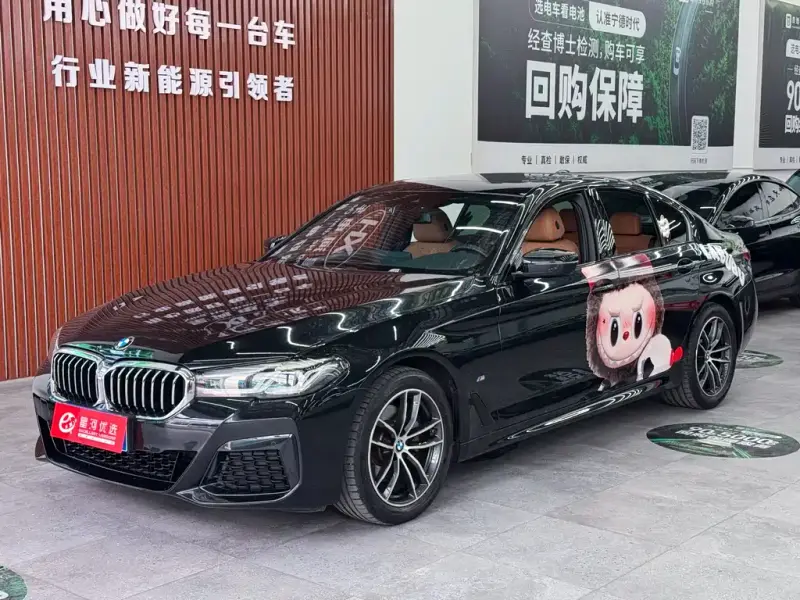 BMW 5 Series (Import)
