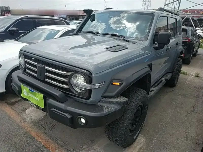 Tank 300