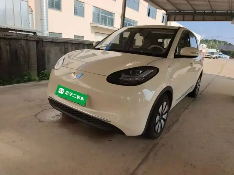 Wuling Bingo