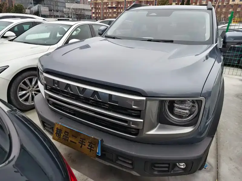 Haval Dargo (Big Dog)