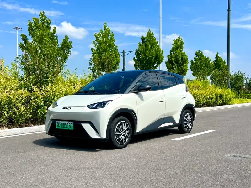 BYD Seagull