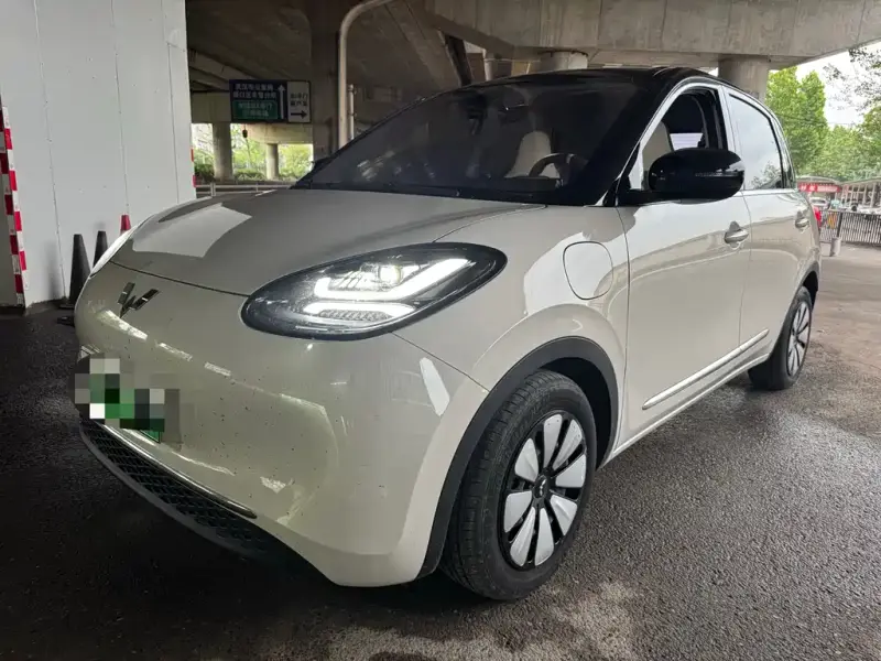 Wuling Bingo