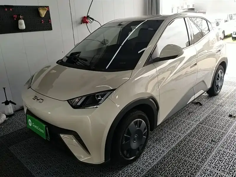 BYD Seagull
