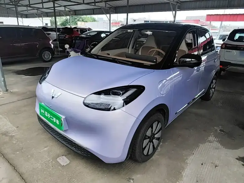 Wuling Bingo