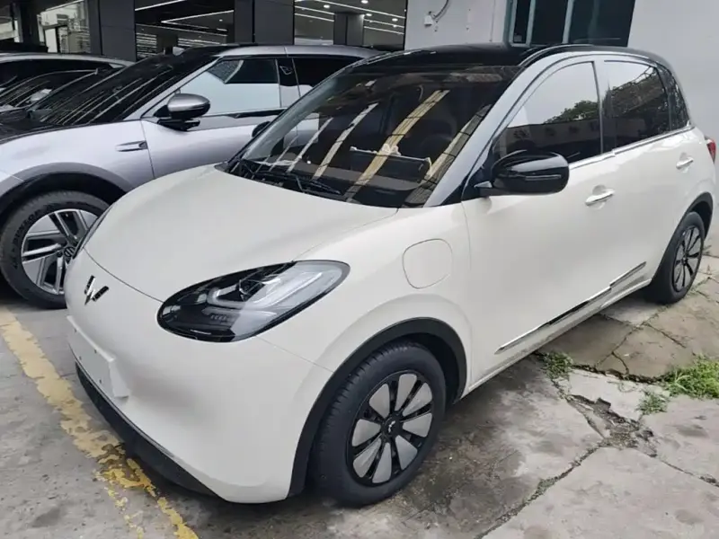 Wuling Bingo
