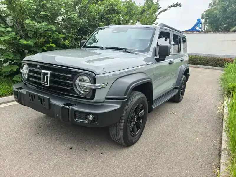 Tank 300