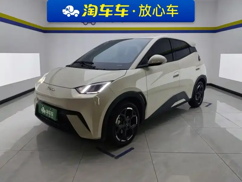 BYD Seagull