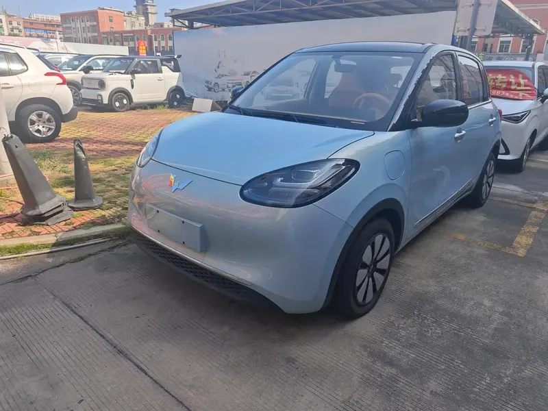 Wuling Bingo