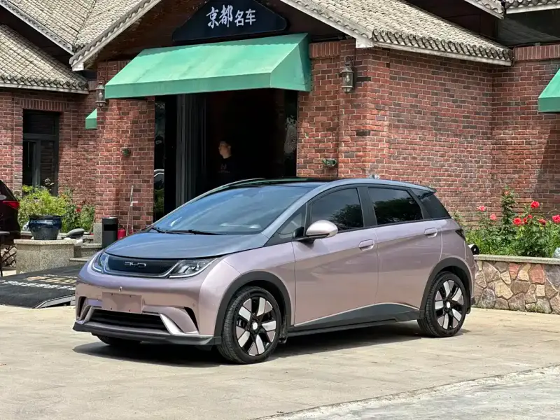 BYD Dolphin