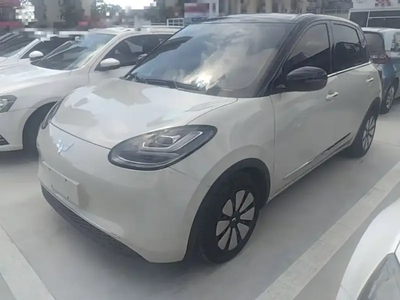 Wuling Bingo