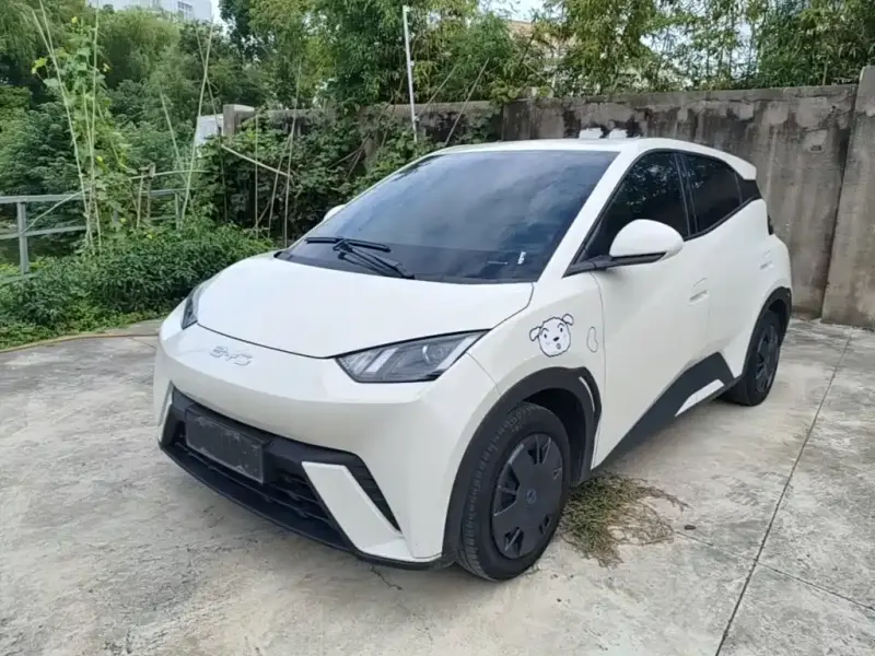 BYD Seagull