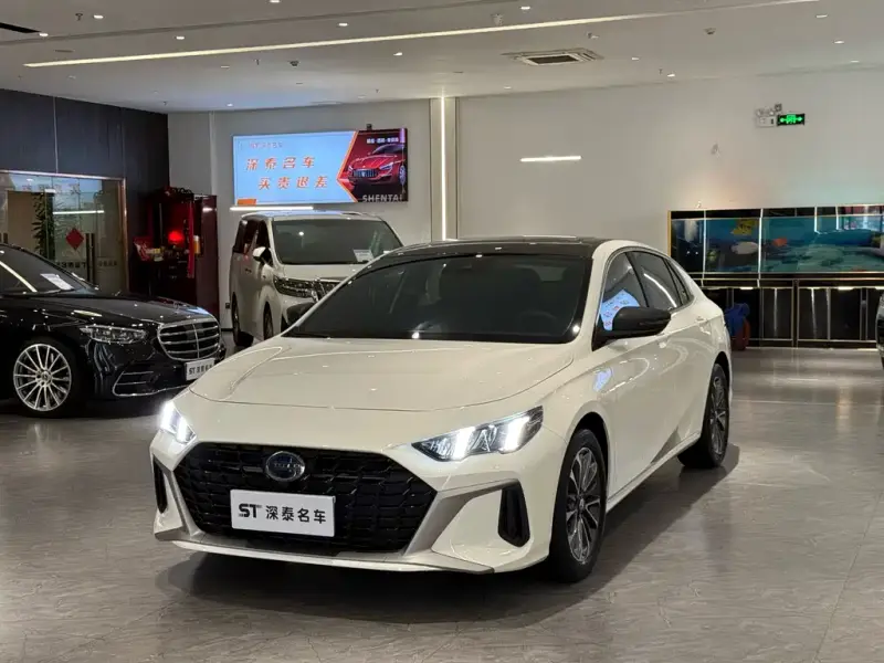 GAC Motor Empow (Shadow Leopard)