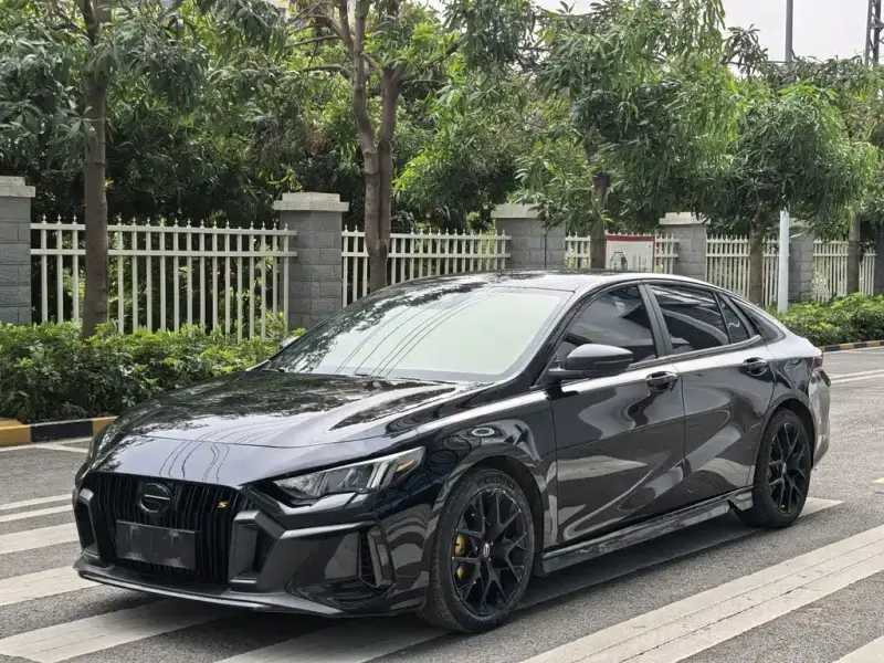 GAC Motor Empow (Shadow Leopard)
