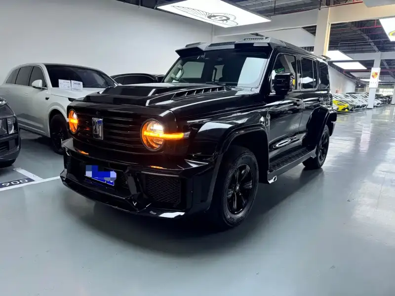 Tank 300
