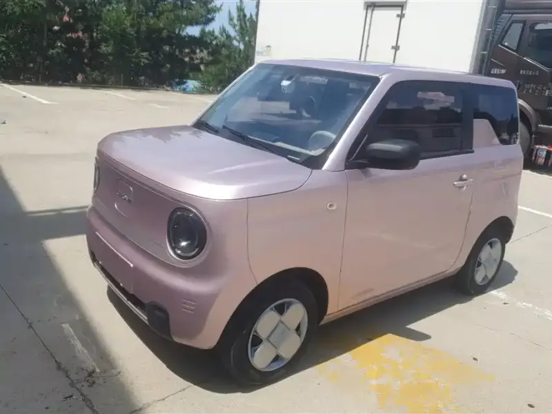 Galaxy Panda Mini (Panda)