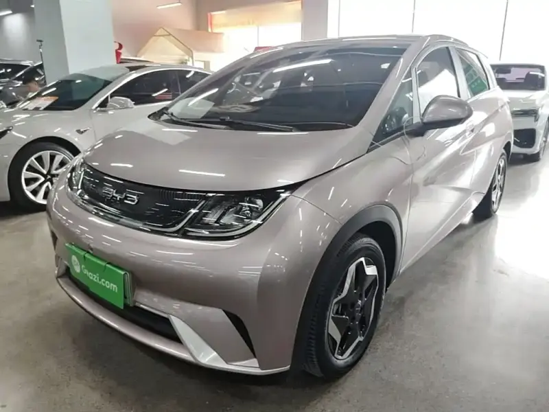 BYD Dolphin