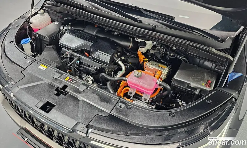 Kia Carnival (Canival)