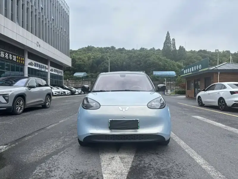 Wuling Bingo