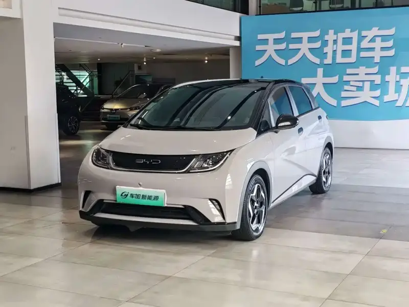 BYD Dolphin