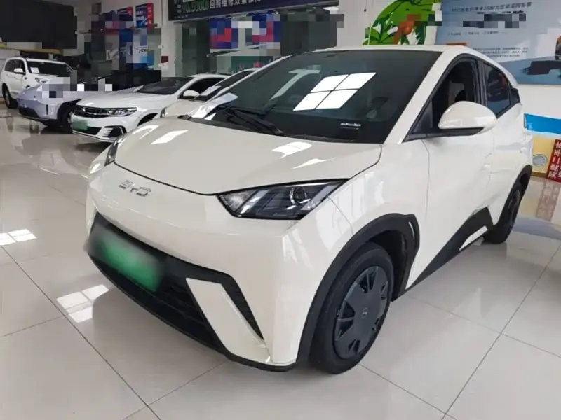 BYD Seagull