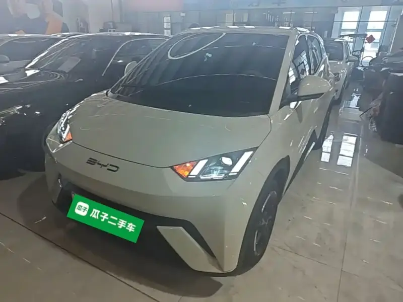 BYD Seagull