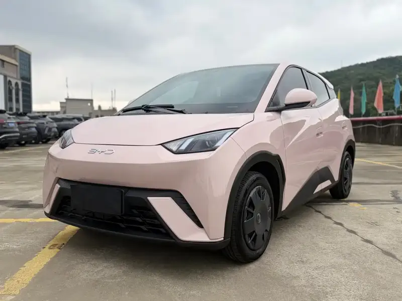 BYD Seagull