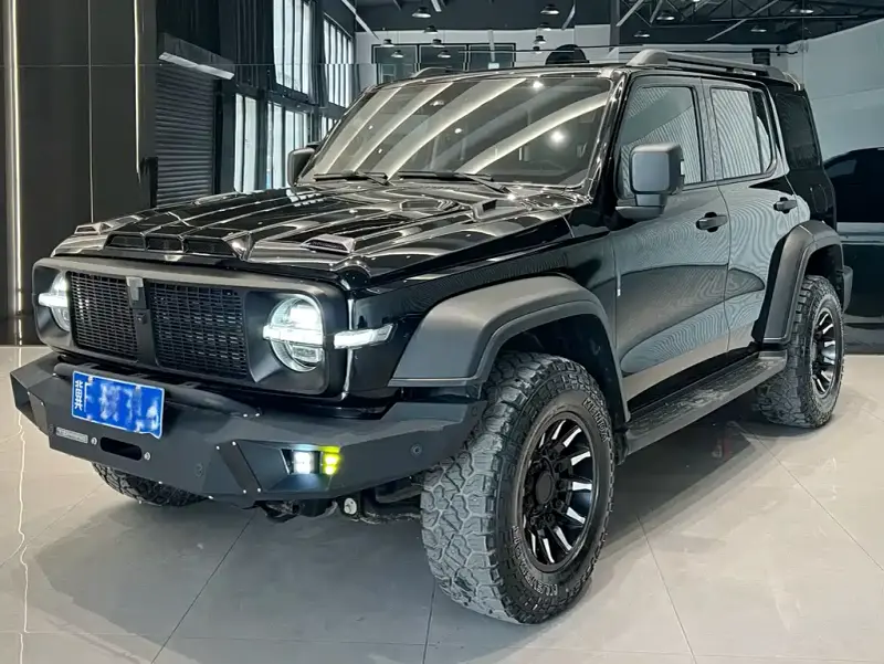 Tank 300