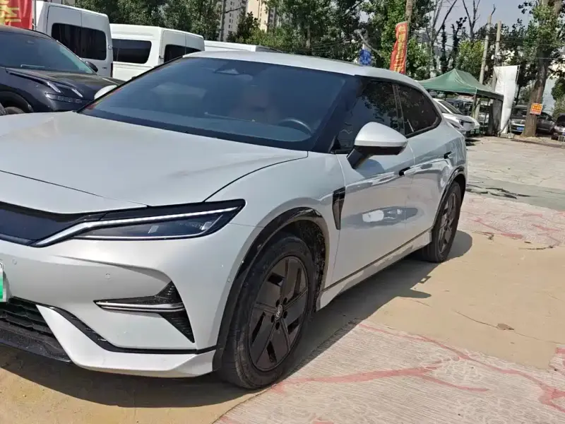 BYD L EV