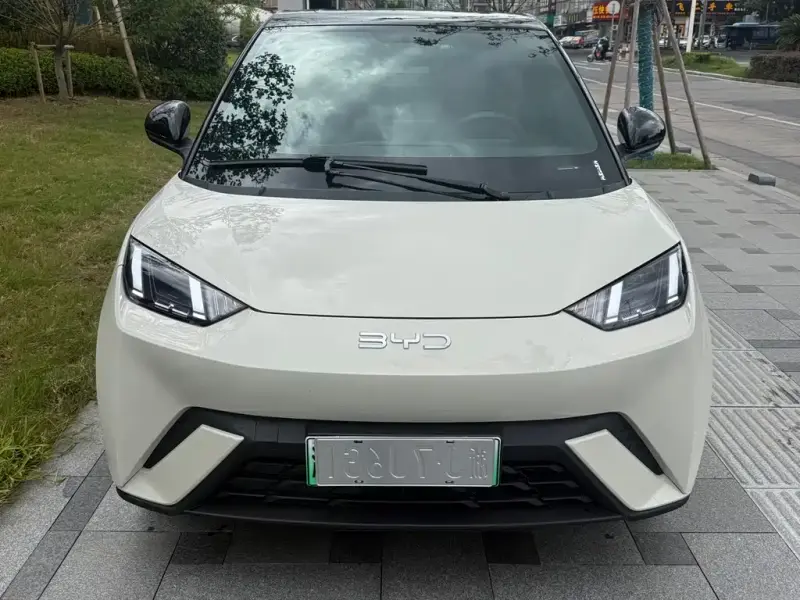 BYD Seagull