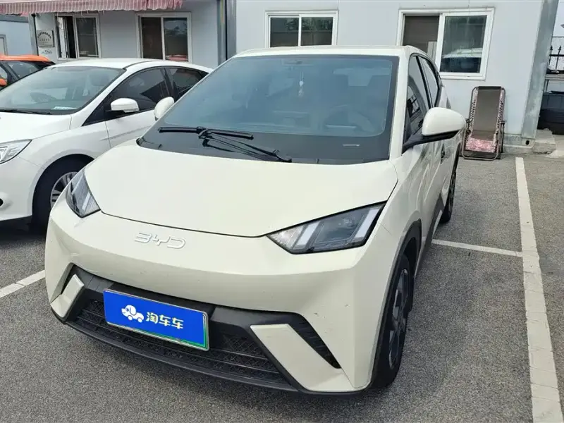 BYD Seagull