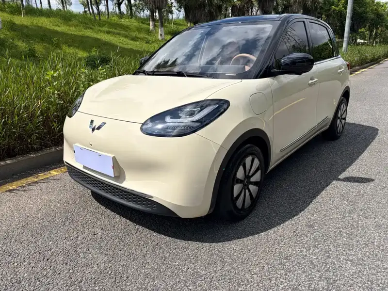 Wuling Bingo
