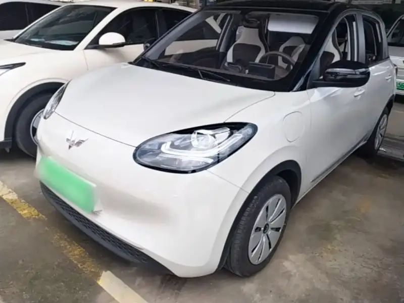 Wuling Bingo
