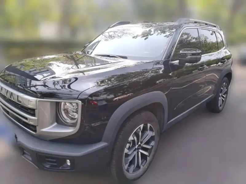 Haval Dargo (Big Dog)