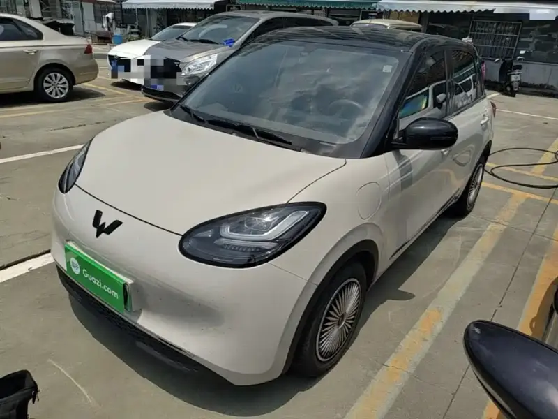 Wuling Bingo