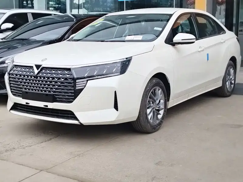 Venucia D60