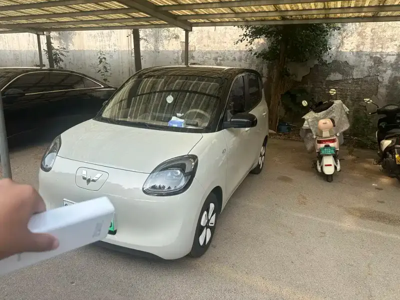 Wuling Hongguang Mini EV (MINIEV)