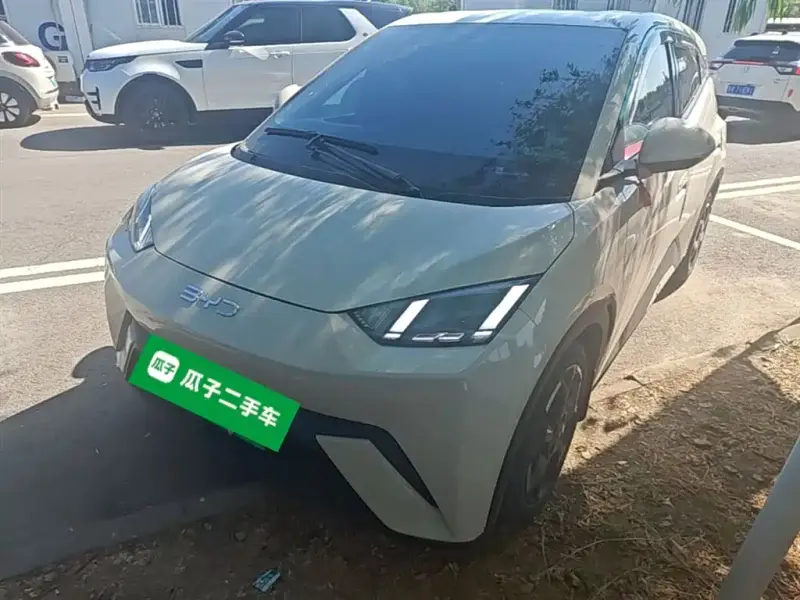 BYD Seagull