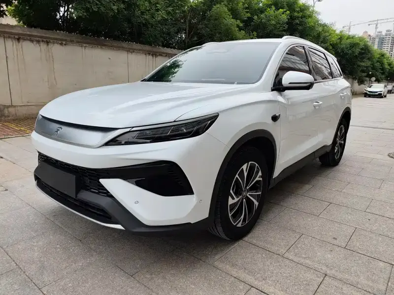 BYD Pro New Energy