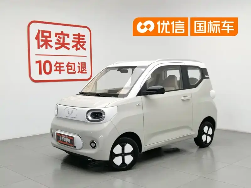 Wuling Hongguang Mini EV (MINIEV)
