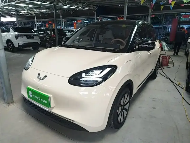 Wuling Bingo