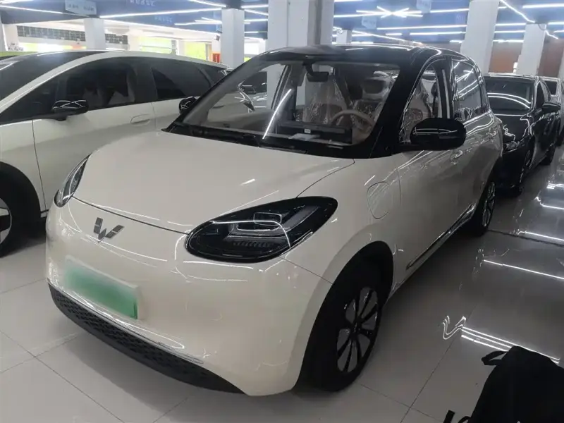 Wuling Bingo