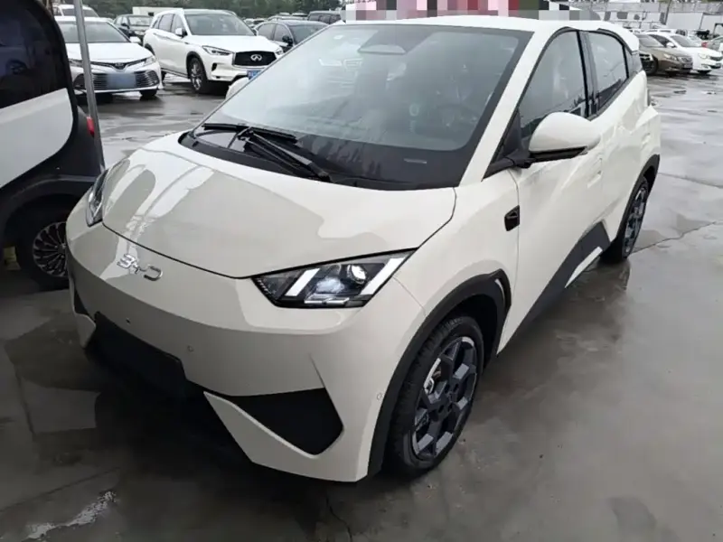 BYD Seagull